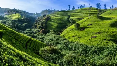 
			Kandy – Nuwara Eliya
			